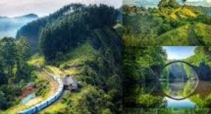 案例精选 - 大象传媒在线入口 - 高口碑品牌合作案例集锦平台